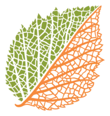 Botanical Research Institute of Texas Inc logo