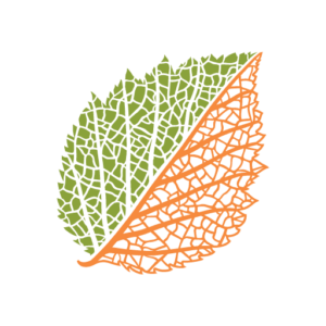 Botanical Research Institute of Texas logo