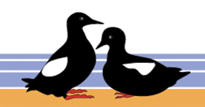 Friends of Cooper Island logo