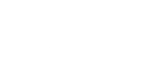 Spectrum Academy logo