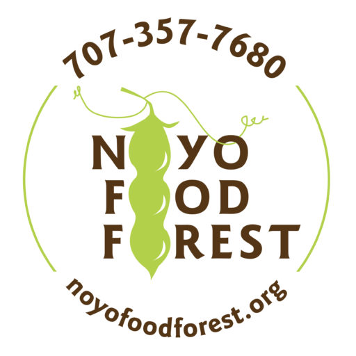 The Noyo Food Forest logo