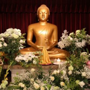 Dharmapala Institute for Buddhist Meditation & Research logo