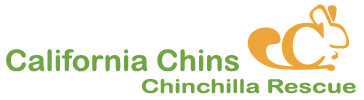 California CHINS logo