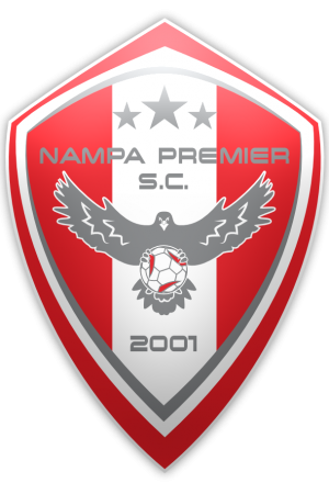 Nampa Kids in Developmental Soccer logo
