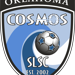 South Lakes Soccer Club Inc logo