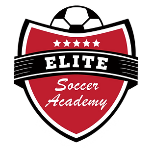 Elite Soccer Academy Inc logo
