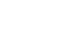 Students for the Exploration and Development of Space USA logo