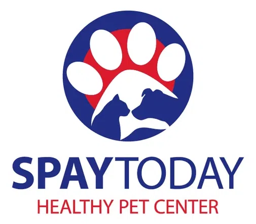 Spaytoday logo