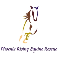 Phoenix Rising Equine Rescue and Rehabilitation logo