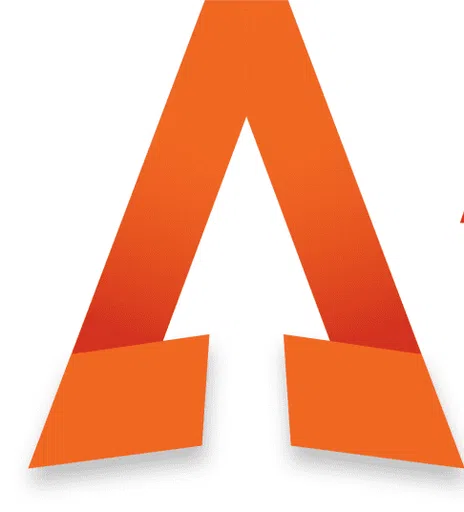 Accelerate Long Island Inc logo
