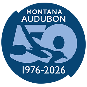 Montana Audubon logo