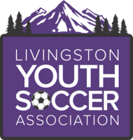 Livingston Youth Soccer Association logo