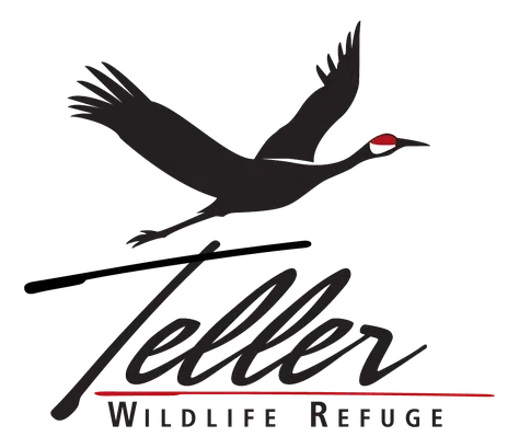 Teller Refuge Inc logo