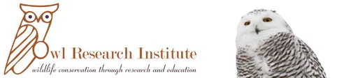 OWL Research Institute Inc logo