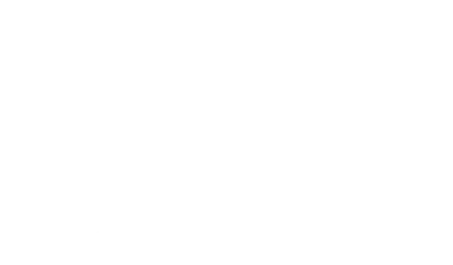 Boys and Girls Club of the Big Island logo