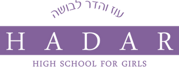 Hadar South Florida High School for Girls Inc logo