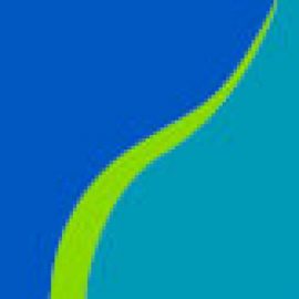 Sands Family Supporting Foundation Inc logo