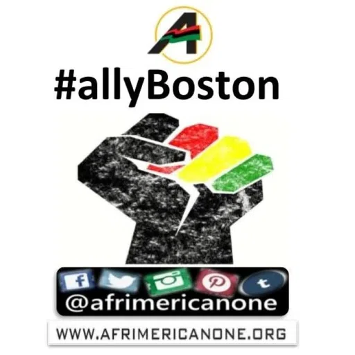 Afrimerican Culture Initiative Inc logo