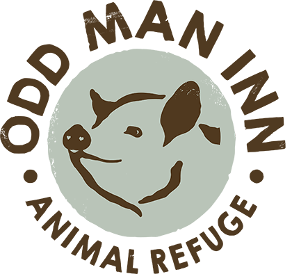Odd Man Inn Animal Refuge logo