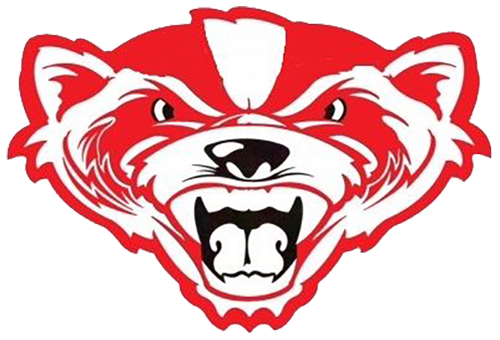 Bridgewater Badgers Youth Football Inc logo