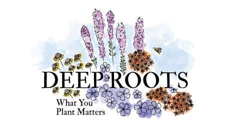 Deep Roots KC Inc logo