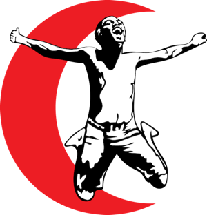 The B Strong Group logo