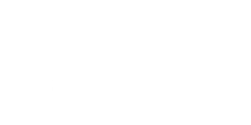 American Energy Action logo