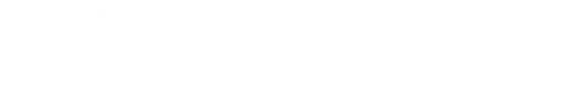 NYC Autism Charter Schools logo