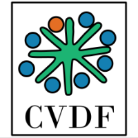 Common Visual Data Foundation Inc logo
