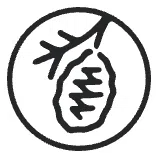 Waverley Street Foundation logo