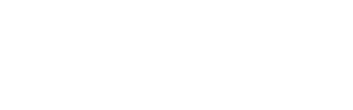 Wichita Police Foundation logo