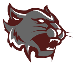 Mt Vernon Pops Football logo