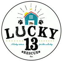 Lucky 13 Rescue logo