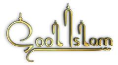Cool Islam Corporation logo
