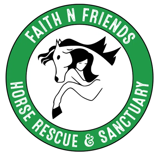 Faith N Friends logo