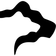 Two Bear Air Rescue Foundation logo