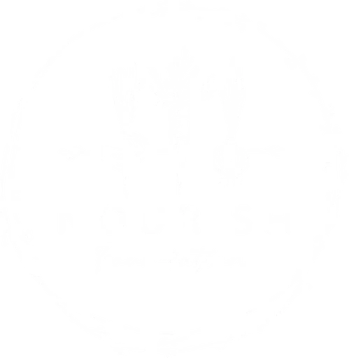 Nourish Al logo