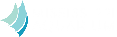 Mississippi Aquarium logo