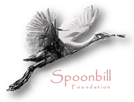 Spoonbill Foundation logo