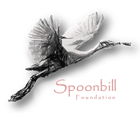 Spoonbill Foundation logo