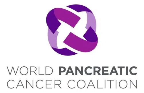 Pancreatic Cancer Cure Foundation logo