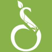 Mississippi Center for Cultural Production logo