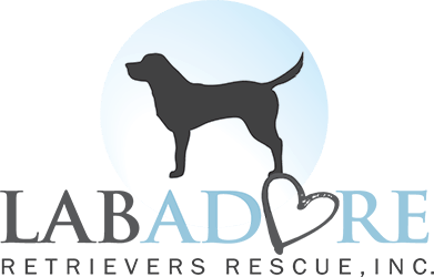 Labadore Retrievers Rescue Inc logo