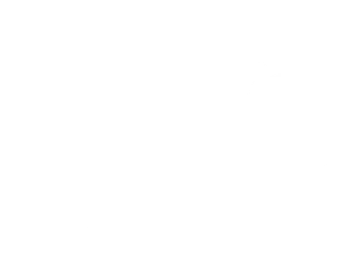 Festival at Sandpoint Inc logo