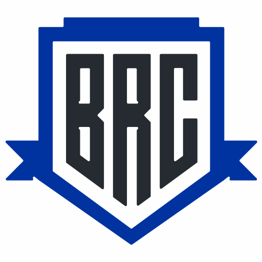 Blueribbon Coalition Inc logo