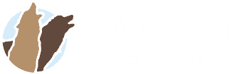 The Earthfire Institute logo