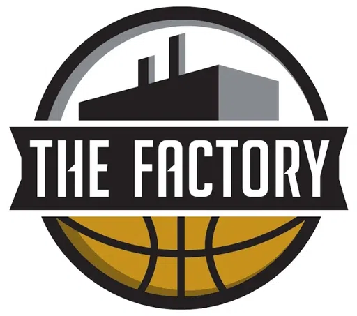 Team Factory logo