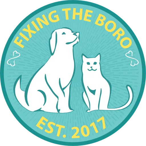 Fixing the Boro Inc logo