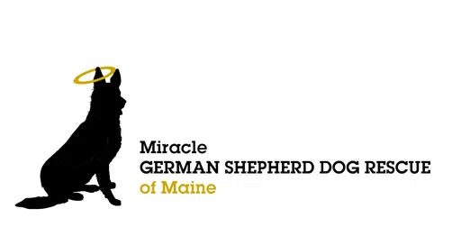 Miracle German Shepherd Dog Rescue of Maine logo