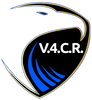 Veterans for Child Rescue Inc logo